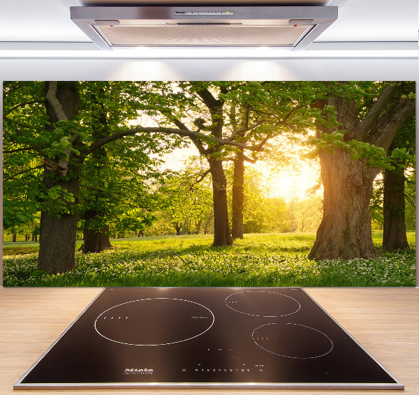 Pannello paraschizzi cucina con il motivo 