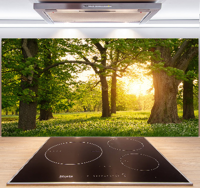 Pannello paraschizzi cucina con il motivo 