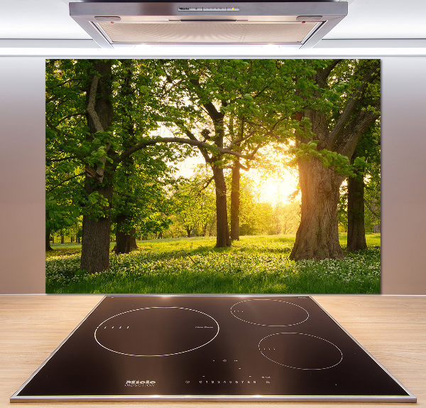 Pannello paraschizzi cucina con il motivo 