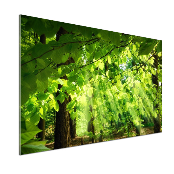 Pannello paraschizzi cucina con motivo a foglie di faggio