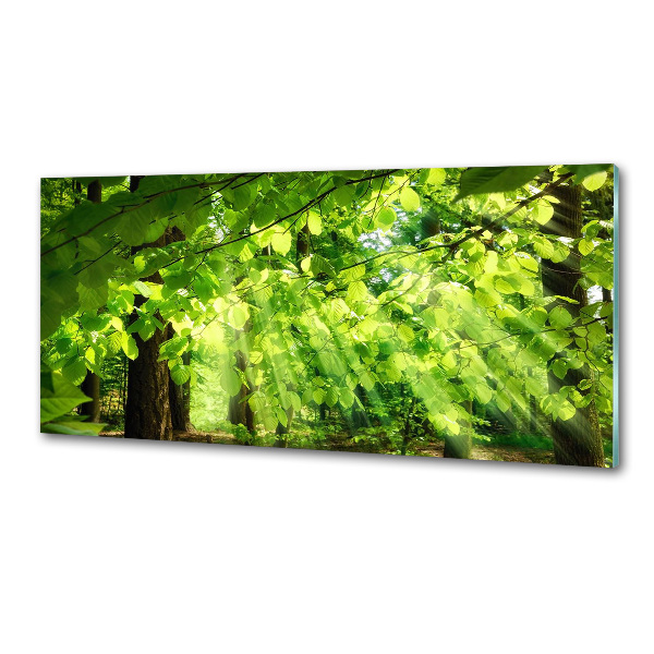 Pannello paraschizzi cucina con motivo a foglie di faggio