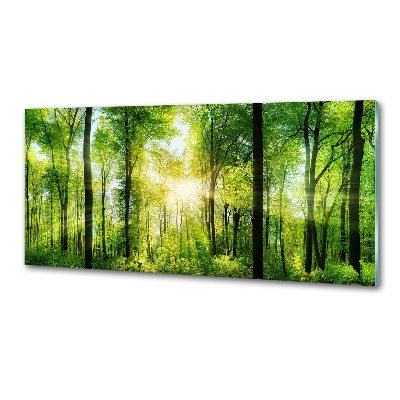 Pannello paraschizzi cucina con stampa 