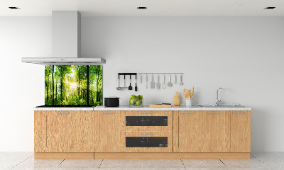 Pannello paraschizzi cucina con stampa 