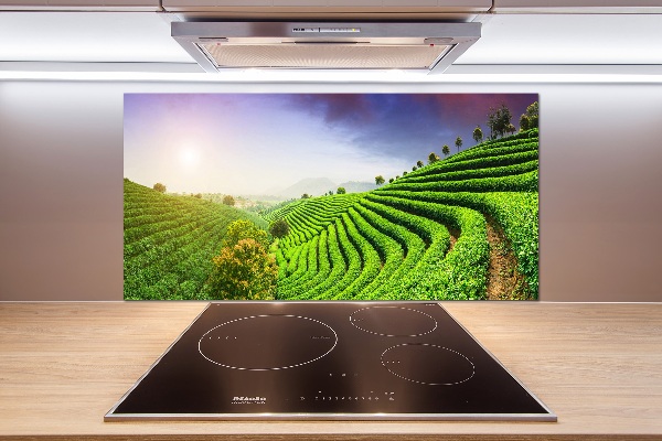 Pannello retrocucina con motivo Piantagione di tè