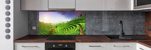 Pannello retrocucina con motivo Piantagione di tè