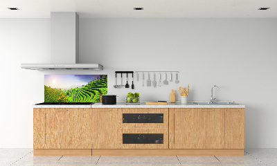 Pannello retrocucina con motivo Piantagione di tè