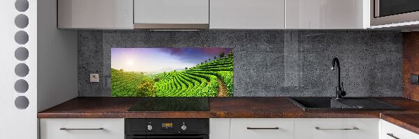 Pannello retrocucina con motivo Piantagione di tè