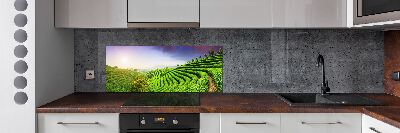 Pannello retrocucina con motivo Piantagione di tè