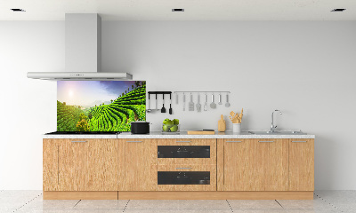 Pannello retrocucina con motivo Piantagione di tè