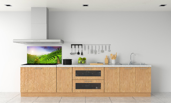 Pannello retrocucina con motivo Piantagione di tè