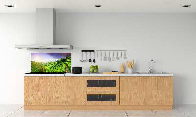 Pannello retrocucina con motivo Piantagione di tè