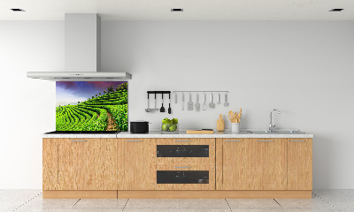 Pannello retrocucina con motivo Piantagione di tè