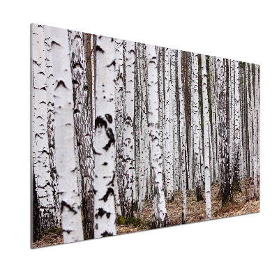 Pannello paraschizzi cucina con finitura effetto betulla