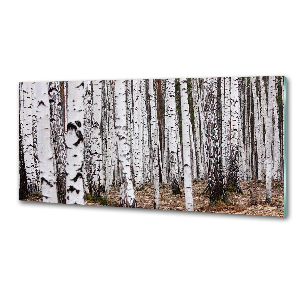 Pannello paraschizzi cucina con finitura effetto betulla