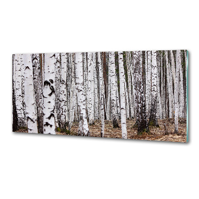 Pannello paraschizzi cucina con finitura effetto betulla