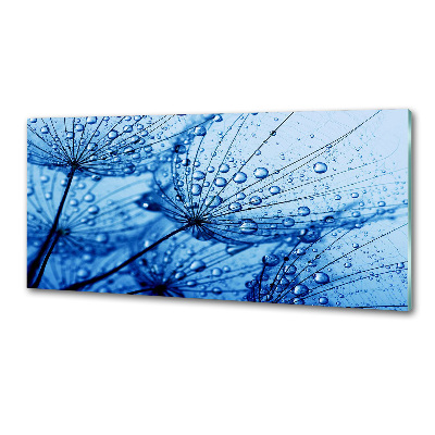 Rivestimento parete cucina con motivo a semi di tarassaco