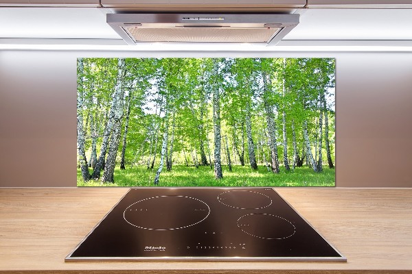 Pannello paraschizzi cucina con motivo a betulla