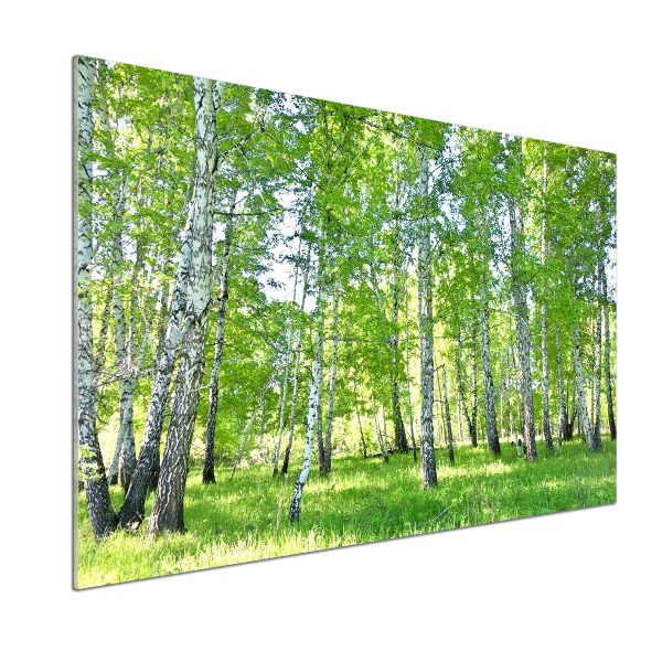 Pannello paraschizzi cucina con motivo a betulla