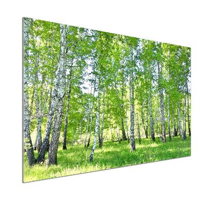 Pannello paraschizzi cucina con motivo a betulla