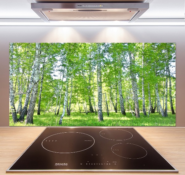 Pannello paraschizzi cucina con motivo a betulla