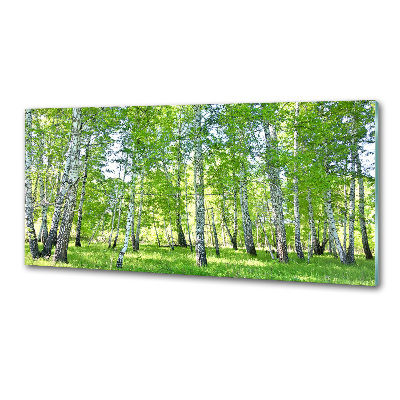 Pannello paraschizzi cucina con motivo a betulla