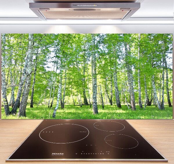Pannello paraschizzi cucina con motivo a betulla