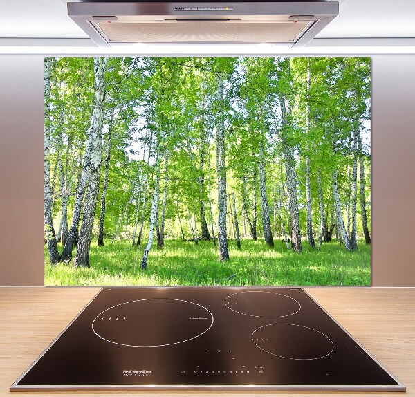 Pannello paraschizzi cucina con motivo a betulla
