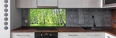 Rivestimento parete cucina con motivo Foresta di betulle