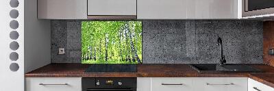 Rivestimento parete cucina con motivo Foresta di betulle
