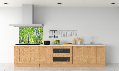 Rivestimento parete cucina con motivo Foresta di betulle