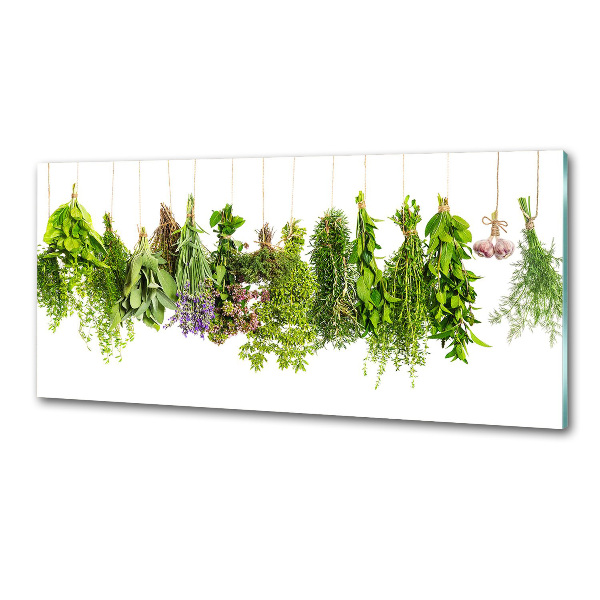 Rivestimento parete cucina con motivo di erbe aromatiche su un filo