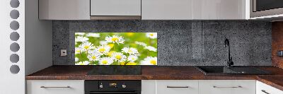 Rivestimento parete cucina con motivo a margherite