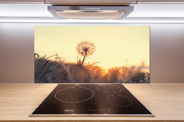 Rivestimento parete cucina con motivo a dente di leone