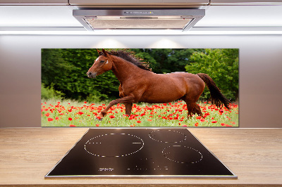 Rivestimento parete cucina con raffigurazione di un cavallo in un campo di papaveri