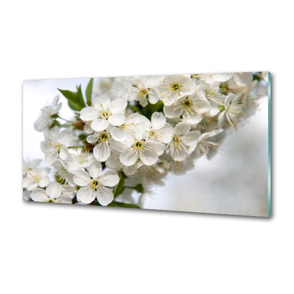 Pannello retrocucina con motivo a fiori di ciliegio