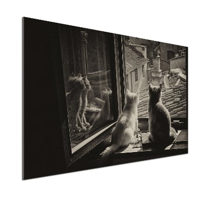 Pannello retrocucina con stampa raffigurante gatti alla finestra