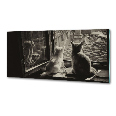 Pannello retrocucina con stampa raffigurante gatti alla finestra