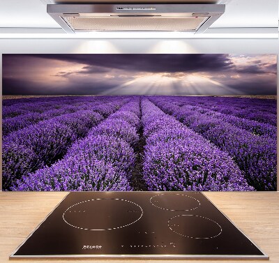 Rivestimento parete cucina con motivo a campo di lavanda