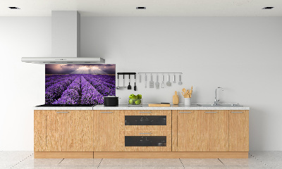 Rivestimento parete cucina con motivo a campo di lavanda