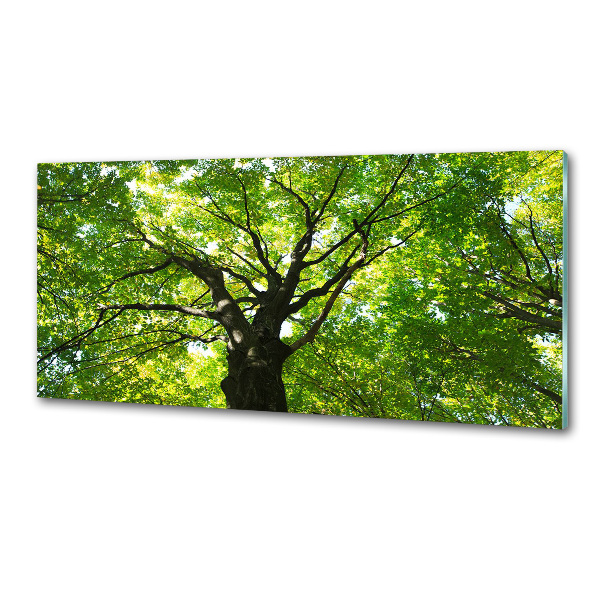 Pannello retrocucina con decorazione Foresta verde