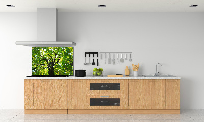 Pannello retrocucina con decorazione Foresta verde