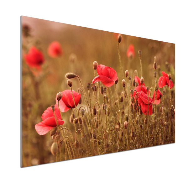 Pannello paraschizzi cucina con motivo trittico dei papaveri