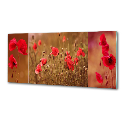 Pannello paraschizzi cucina con motivo trittico dei papaveri