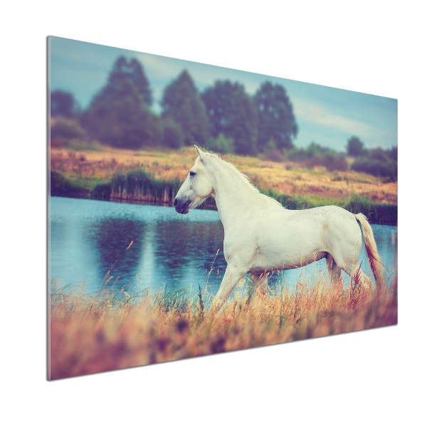 Rivestimento parete cucina con motivo Lago del Cavallo Bianco