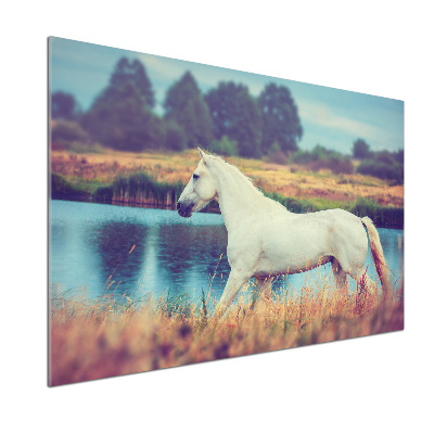 Rivestimento parete cucina con motivo Lago del Cavallo Bianco