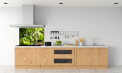 Pannello retrocucina con motivo di vino bianco e frutta