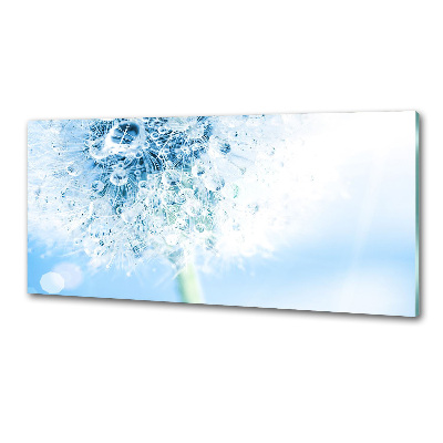 Rivestimento parete cucina con motivo a dente di leone