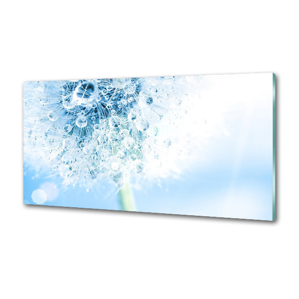 Rivestimento parete cucina con motivo a dente di leone