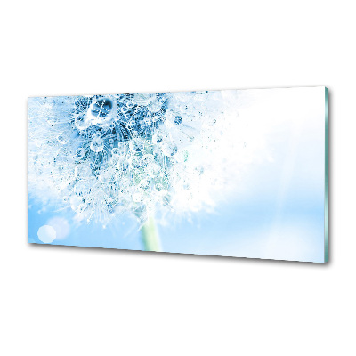 Rivestimento parete cucina con motivo a dente di leone