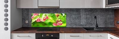 Pannello retrocucina con stampa raffigurante lamponi in giardino